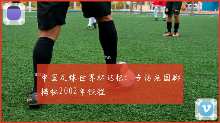 中国足球世界杯记忆：专访老国脚揭秘2002年征程
