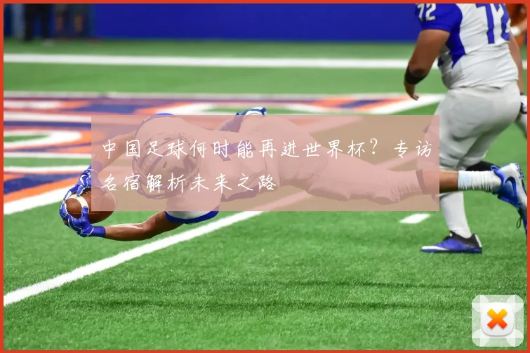 中国足球何时能再进世界杯？专访名宿解析未来之路