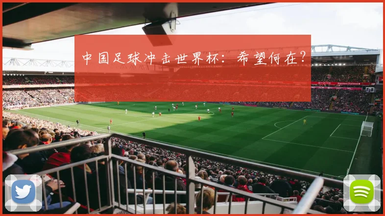 中国足球冲击世界杯：希望何在？