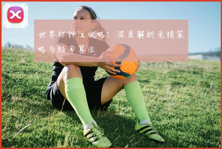 世界杯押注攻略:深度解析竞猜策略与赔率算法