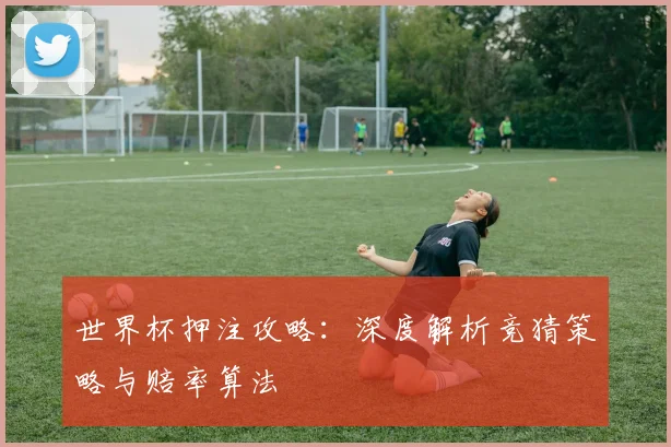 世界杯押注攻略:深度解析竞猜策略与赔率算法