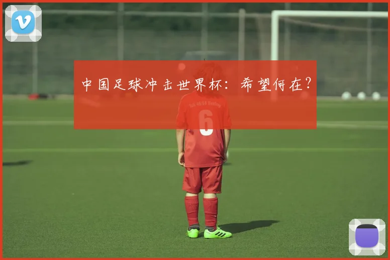 中国足球冲击世界杯：希望何在？