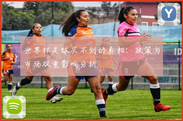 世界杯足球买不到的真相：政策与市场双重影响分析