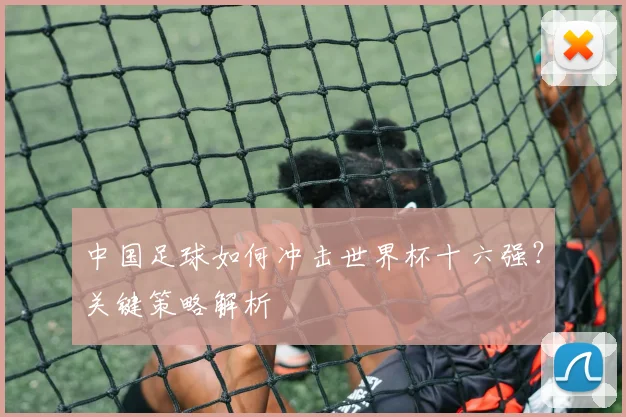 中国足球如何冲击世界杯十六强？关键策略解析