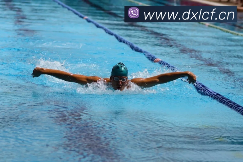 开云app最新版下载网站发展历程